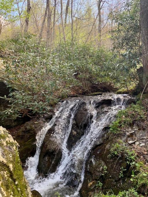 Blue Ridge Parkway Panoramic Paradise-60 Mile View Fancy Gap Exteriör bild