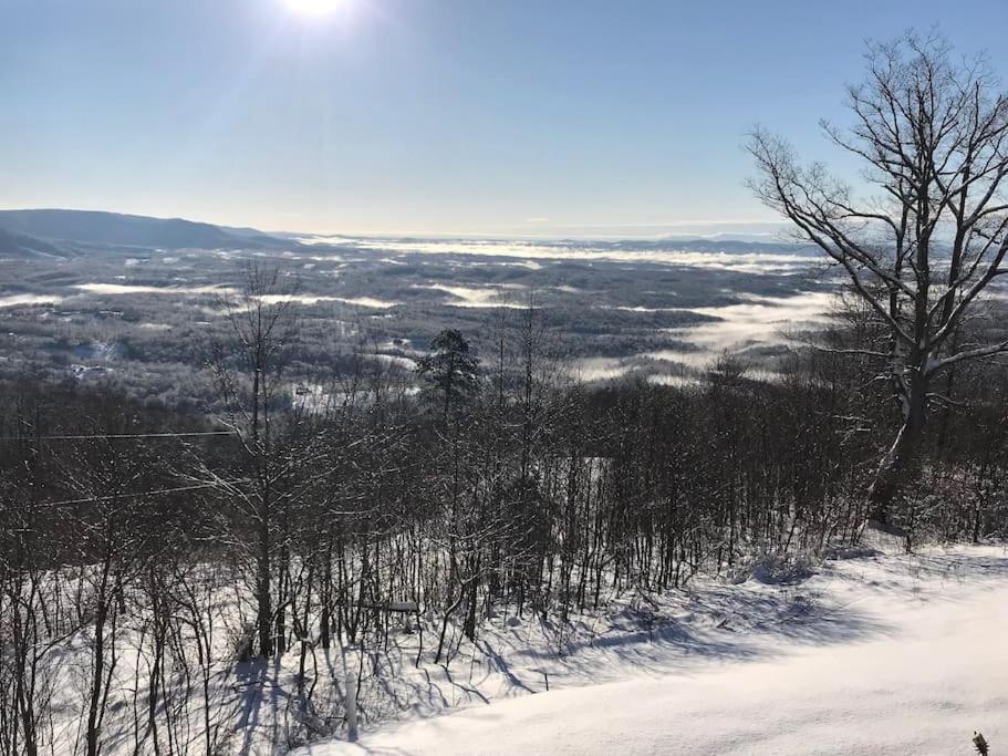Blue Ridge Parkway Panoramic Paradise-60 Mile View Fancy Gap Exteriör bild
