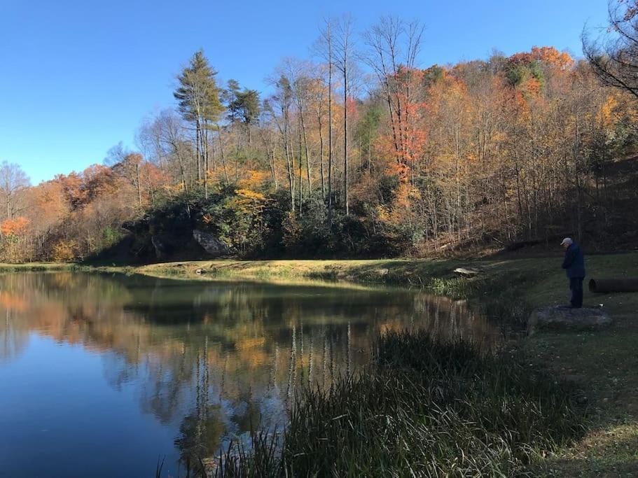 Blue Ridge Parkway Panoramic Paradise-60 Mile View Fancy Gap Exteriör bild